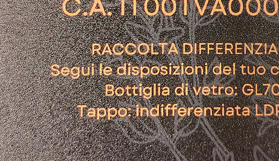 Stampa Digitale